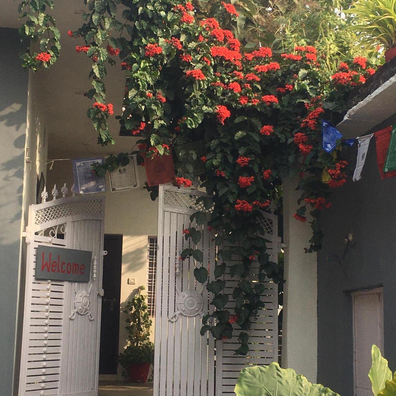 The Highvill Home Stay Khajurāho Exteriör bild