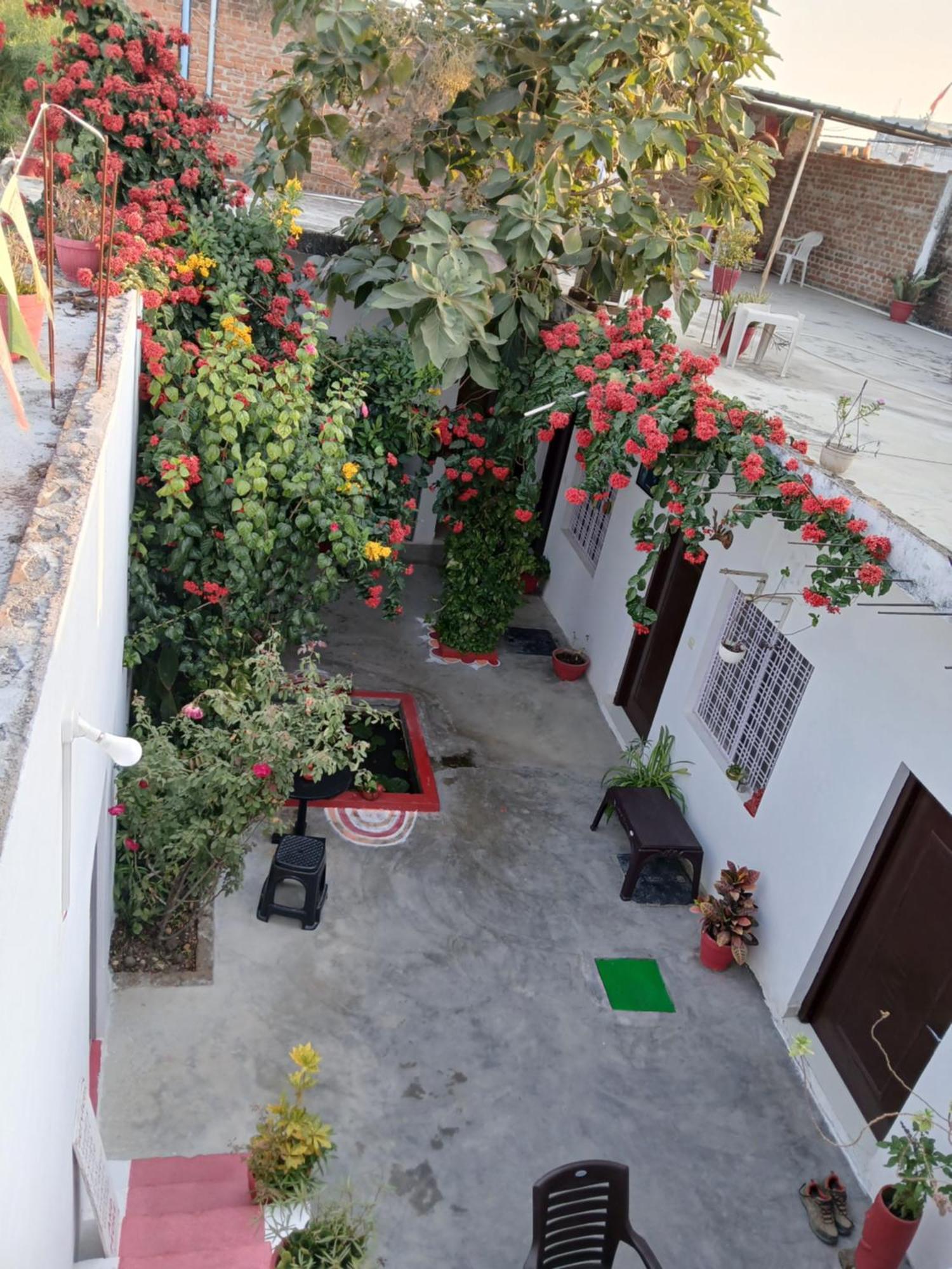 The Highvill Home Stay Khajurāho Exteriör bild